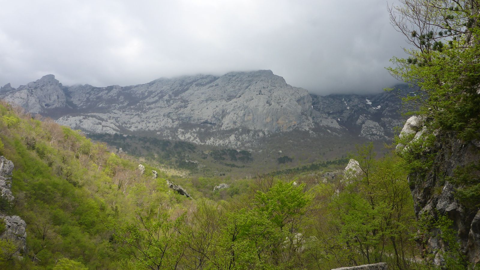 Saftiges Grün vor karstigen Bergen