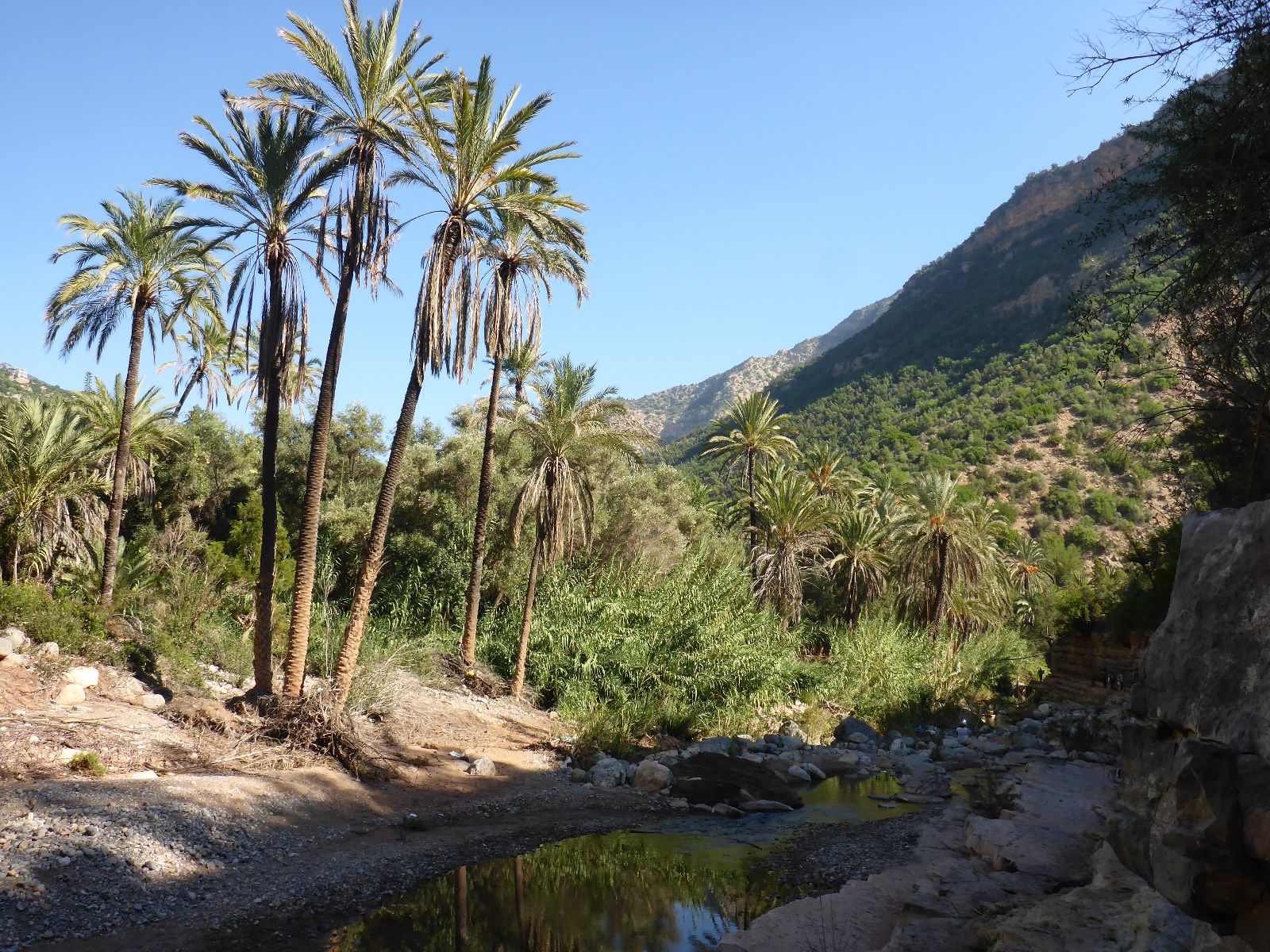 Paradise Valley