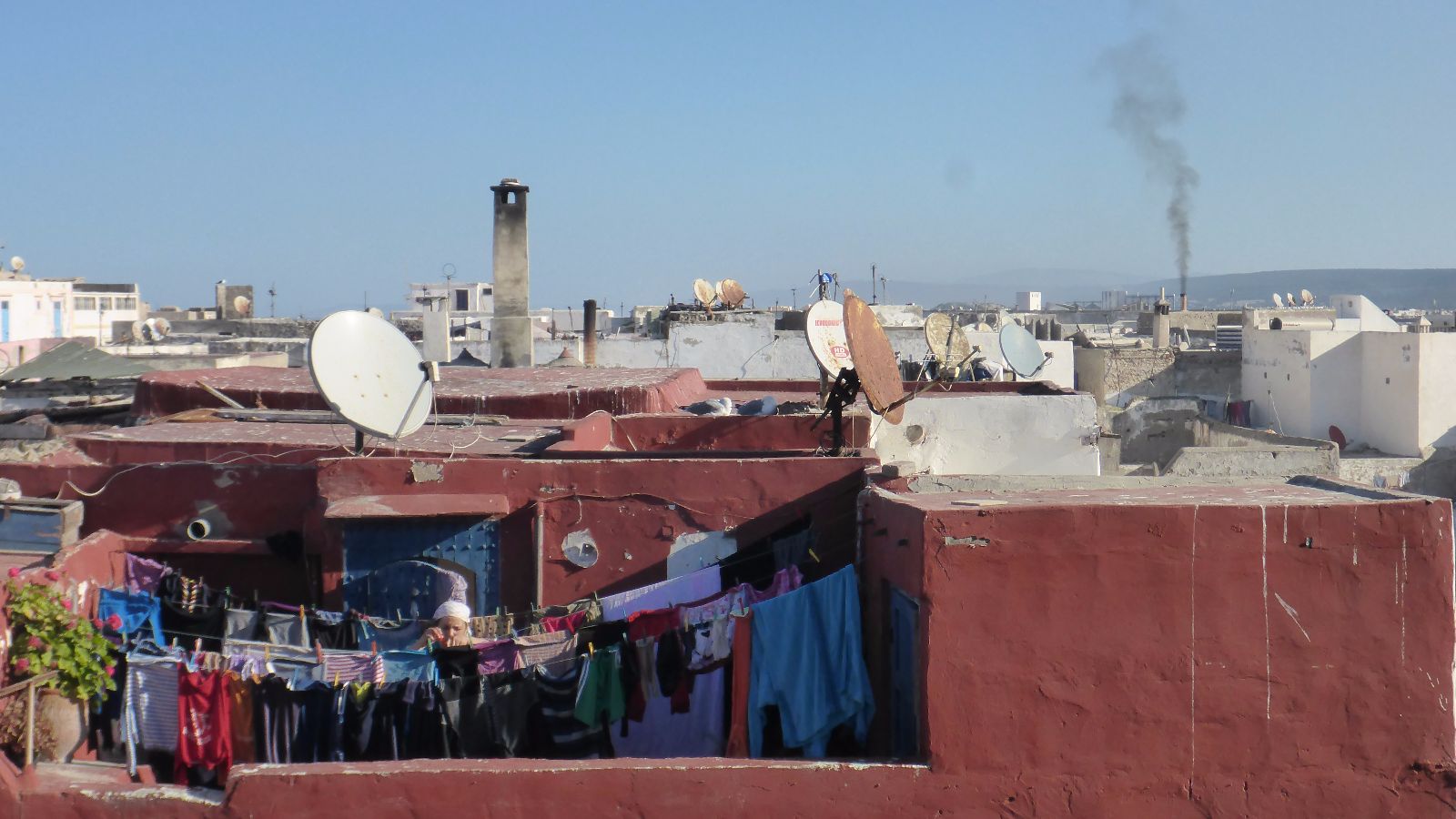 Blick über die Dächer von Essaouira