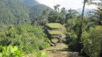 Ciudad Perdida von oben