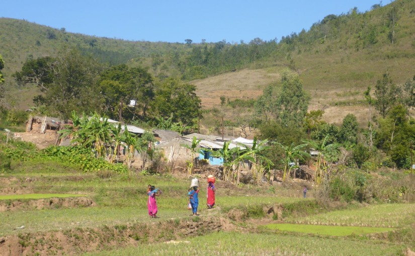 Stammesdorf im Araku Valley