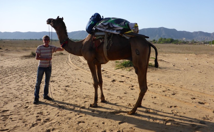 Pushkar – Kamele und Wüstenübernachtung